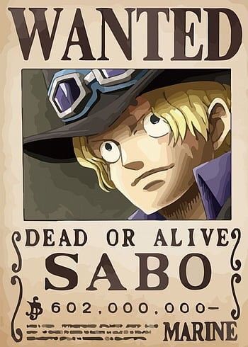 One piece anime wanted a4 wall poster