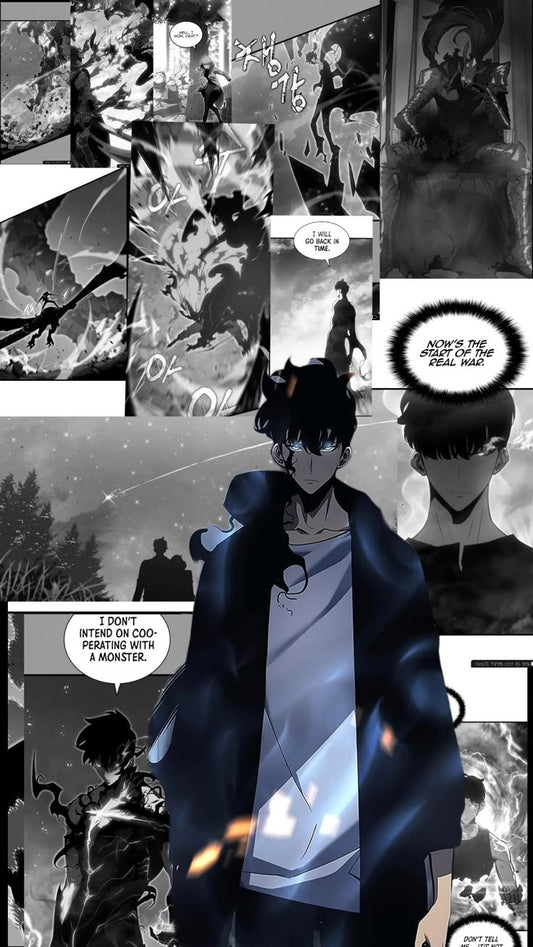 Solo leveling anime A4 wall poster