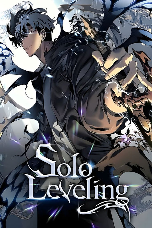 Solo leveling anime A4 wall poster